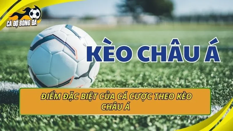Điểm đặc biệt của cá cược theo kèo châu Á